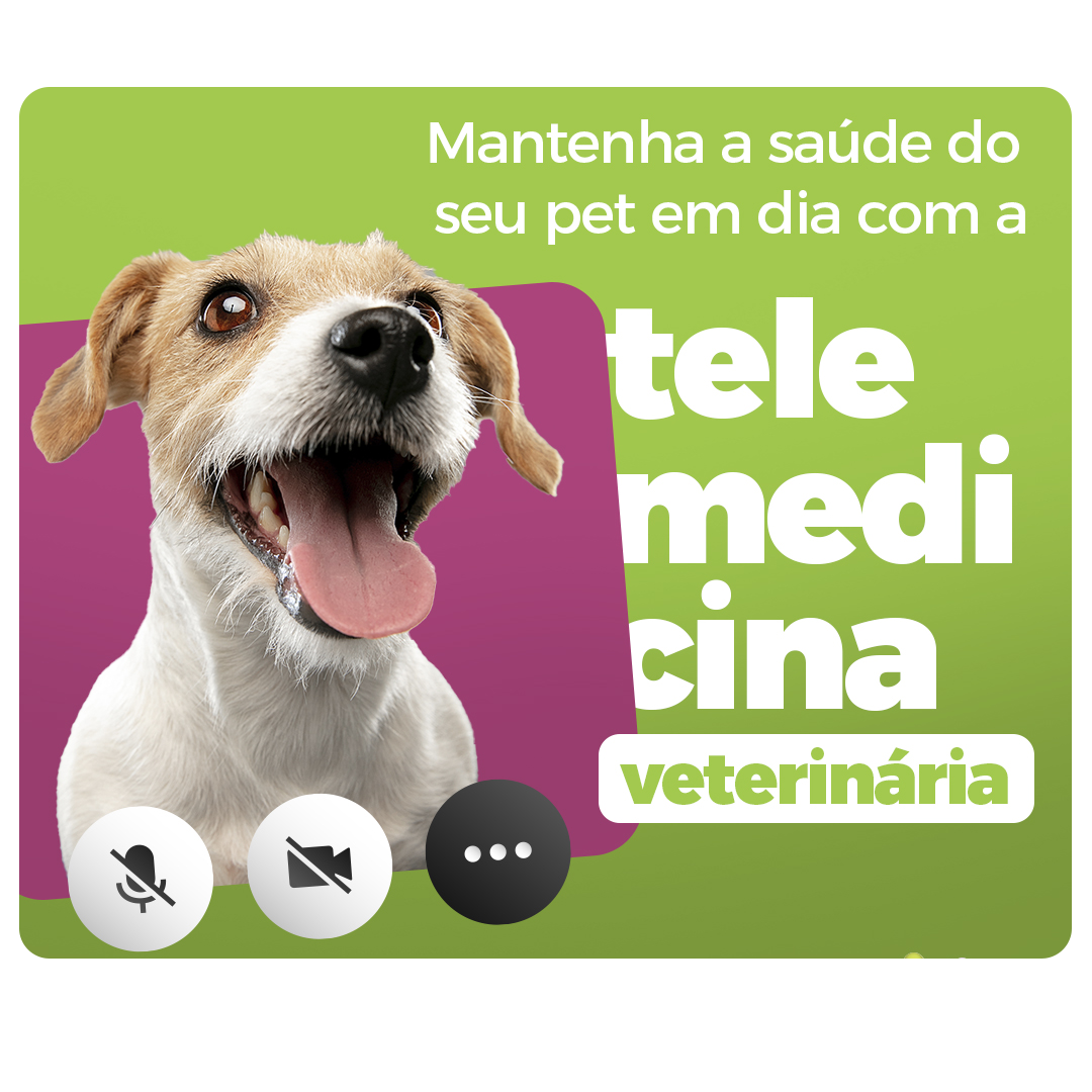 TeleMedicina