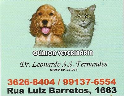 Clínica Veterinária Leoanardo S. S . Fernandes