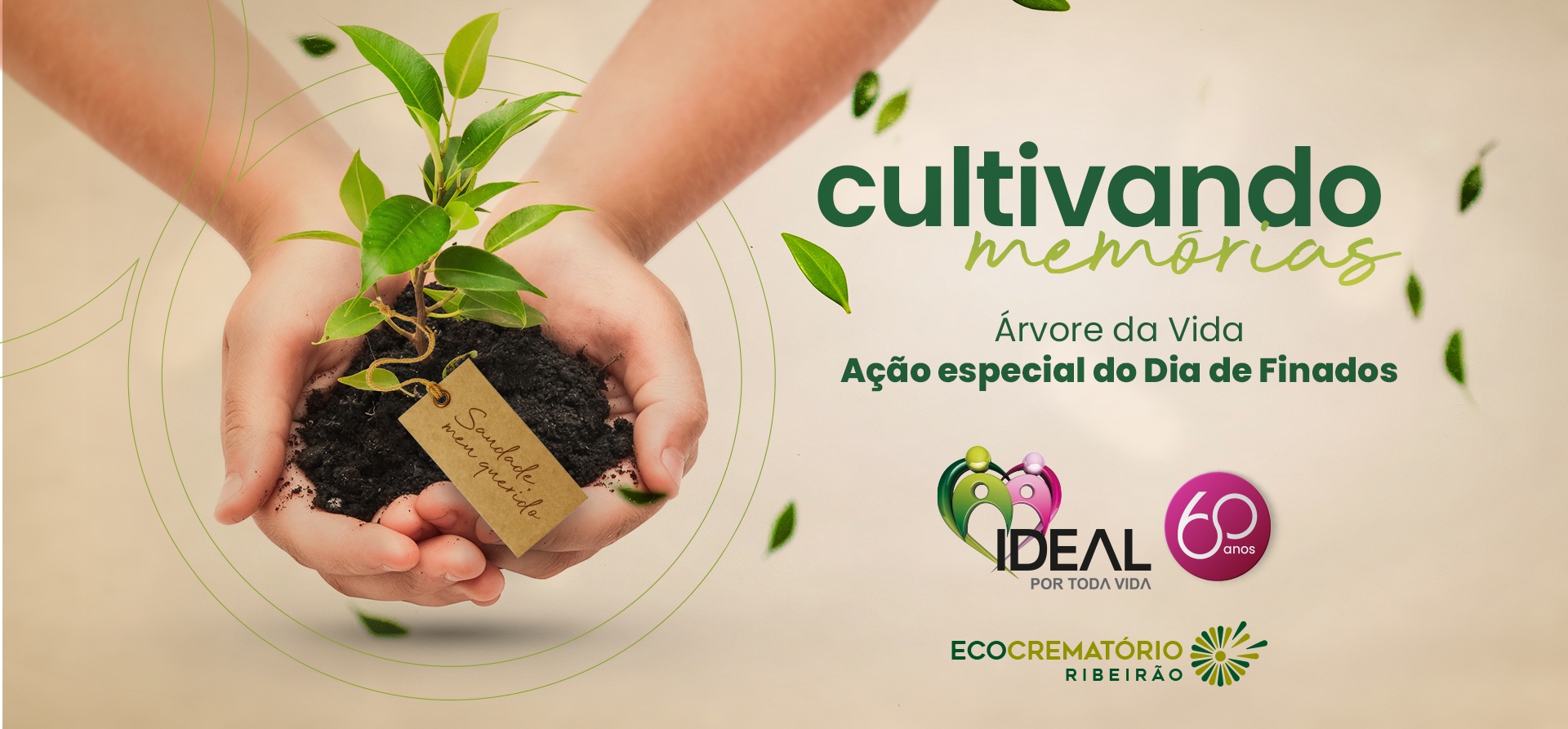 Rede Ideal - Cultivando Memórias